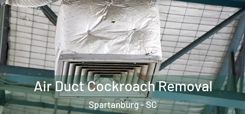  Air Duct Cockroach Removal Spartanburg - SC