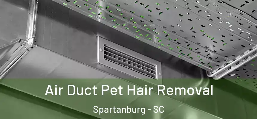 Air Duct Pet Hair Removal Spartanburg - SC