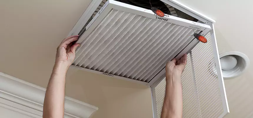 Preventive Cockroach-Proofing for Ducts in Spartanburg