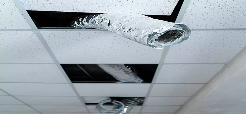 Our Air Duct Pet Hair Removal Services in Spartanburg, SC