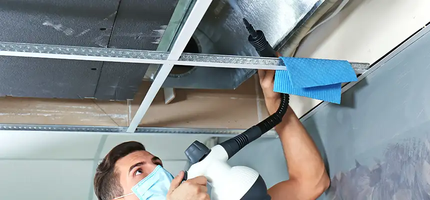 Our Air Duct Rodent Removal Services in Spartanburg, SC