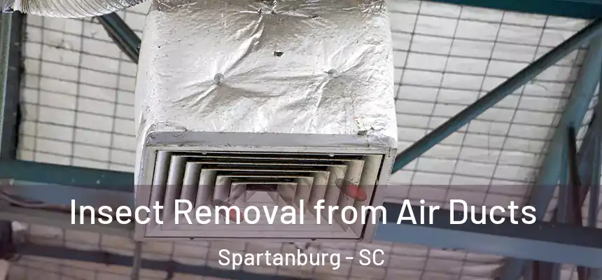  Insect Removal from Air Ducts Spartanburg - SC