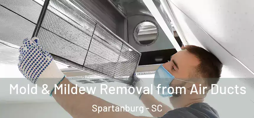  Mold & Mildew Removal from Air Ducts Spartanburg - SC