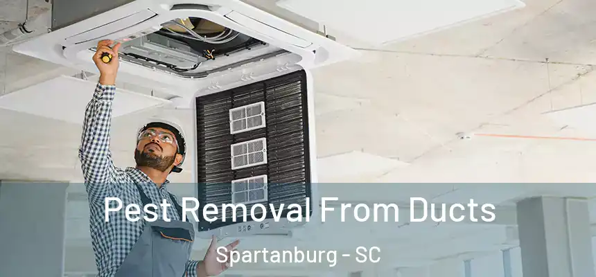  Pest Removal From Ducts Spartanburg - SC