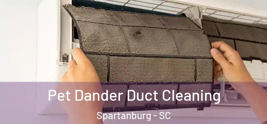 Pet Dander Duct Cleaning Spartanburg - SC