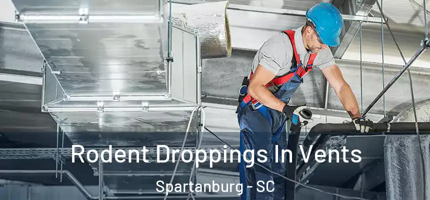 Rodent Droppings In Vents Spartanburg - SC
