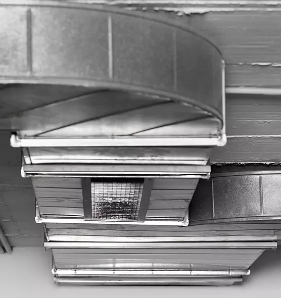 Professional Air Duct Pet Hair Removal in Spartanburg, SC