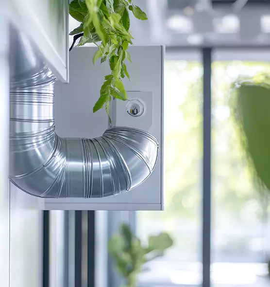 Professional Eco-Safe Dryer Vent Cleaning in Spartanburg, SC