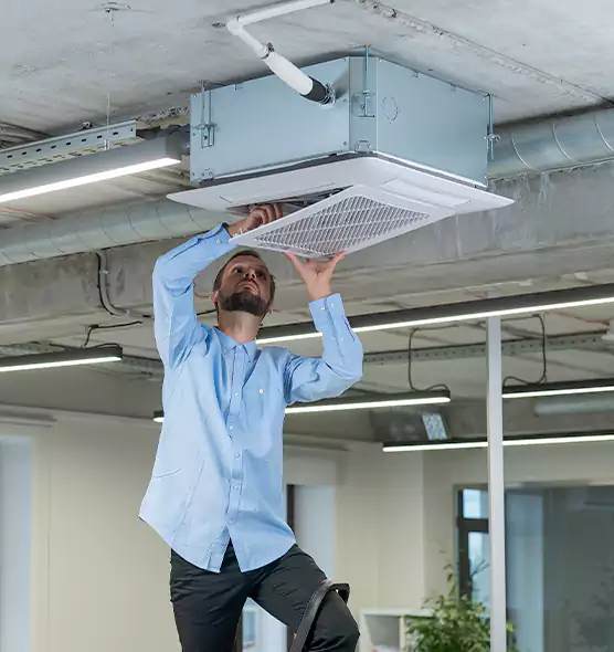 Advanced Rodent Droppings In Vents in Spartanburg, SC