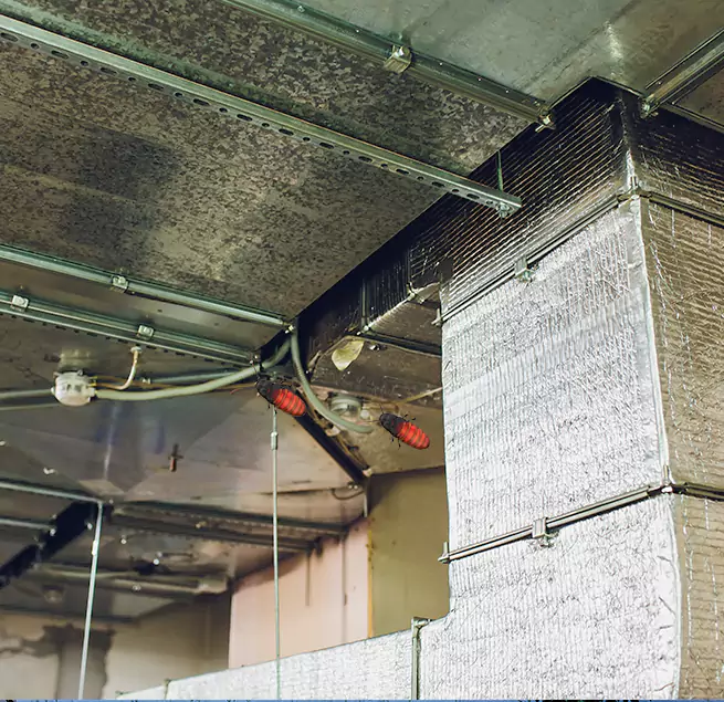 Why Homeowners & Businesses Trust Us in Spartanburg, SC?