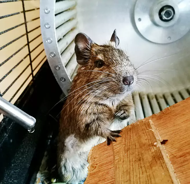 Why Homeowners & Businesses Trust Us Spartanburg, SC