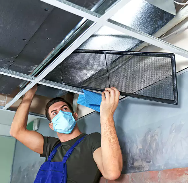 Why Homeowners Businesses Trust Us in Spartanburg, SC